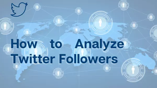 How_to_Analyze_Twitter_Followers.original.webp